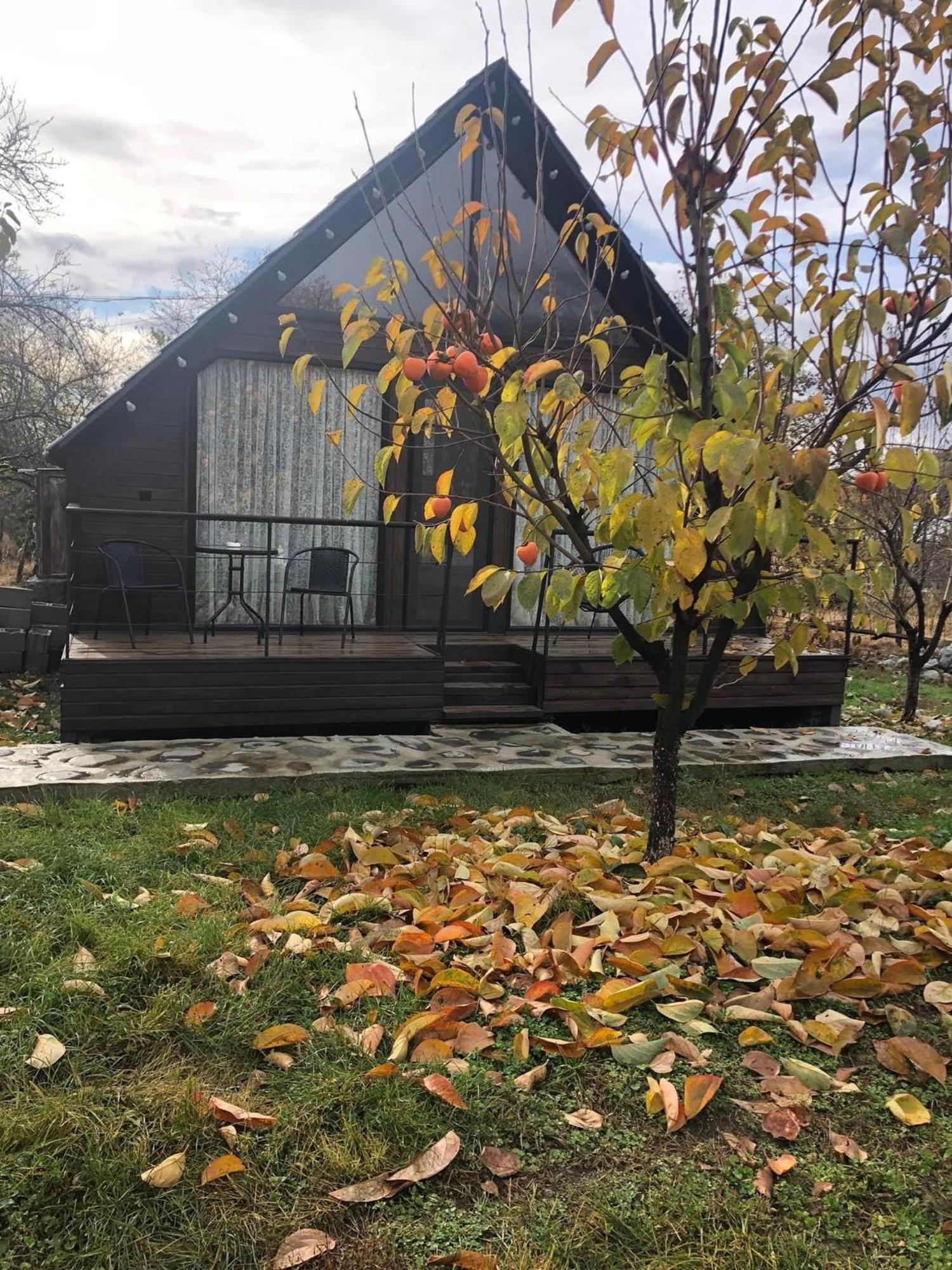 Wood House ลาโกเดคี ภายนอก รูปภาพ